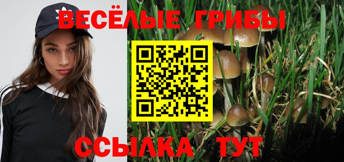 Галлюциногенные грибы Psilocybe  купить закладку  Вход с VPN  Россошь  Псилоцибиновые грибы Cubensis 