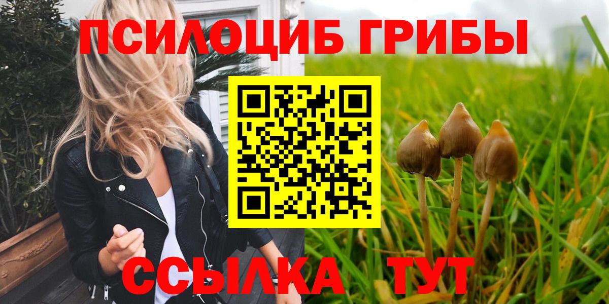 Псилоцибиновые грибы GOLDEN TEACHER Россошь